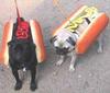 [Hot Dogs]