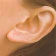 Ear Ear