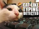 Cat Like Typing Detected